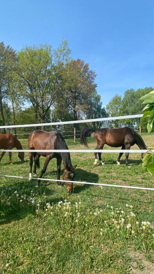 Willa Pelnikowe Zacisze Bobolice  Zewnętrze zdjęcie